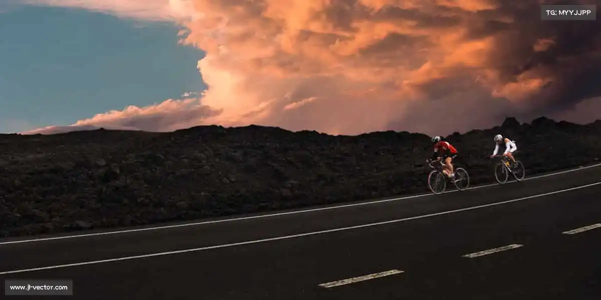 行业领先的理由